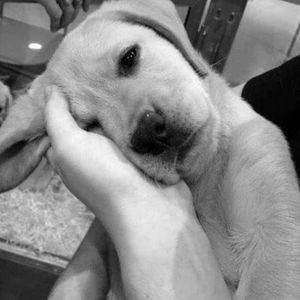 Meet your Posher, Claudia